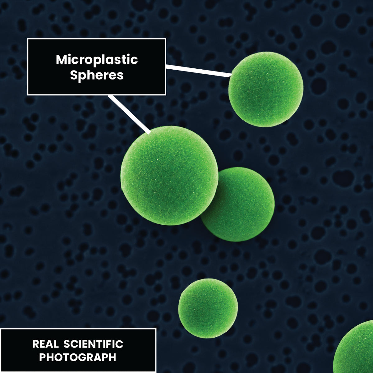 Untreated laboratory tissue sample.