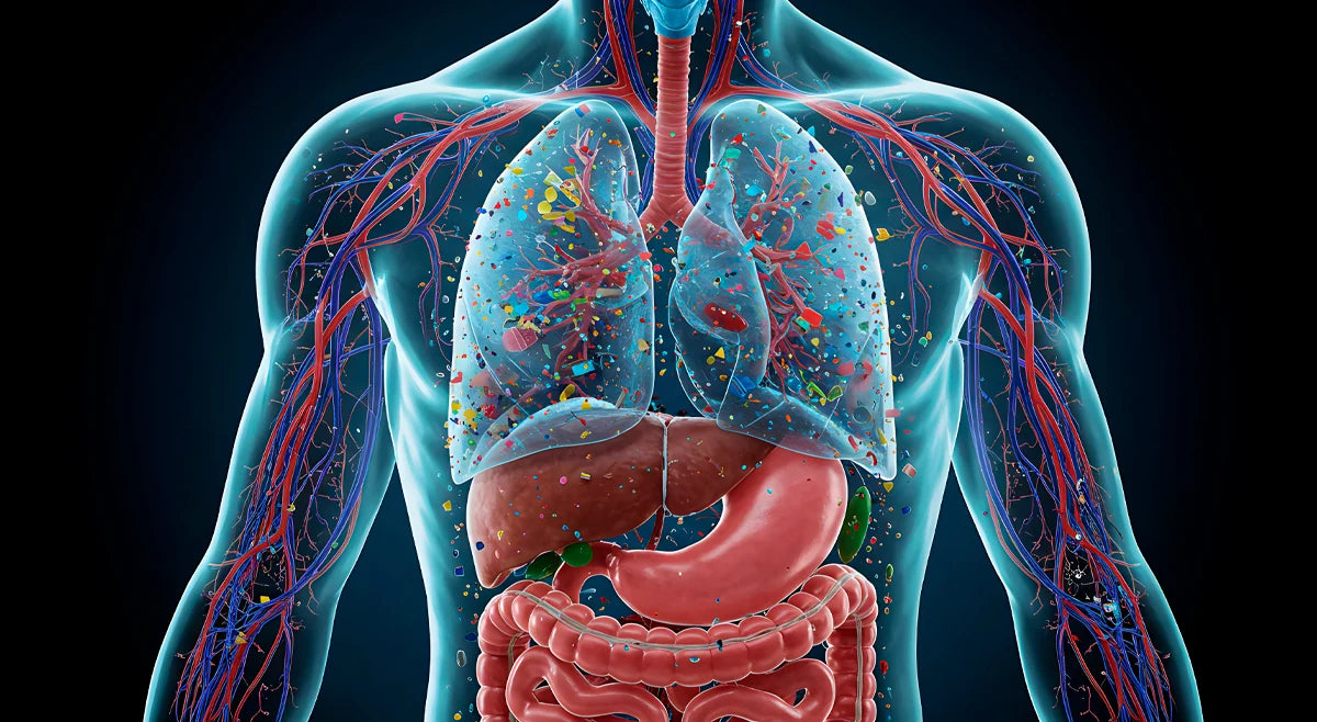 3D medical illustration of a human torso showing the respiratory system, lungs, blood vessels, liver, stomach, and intestines, with small colorful particles scattered inside the lungs, set against a dark background